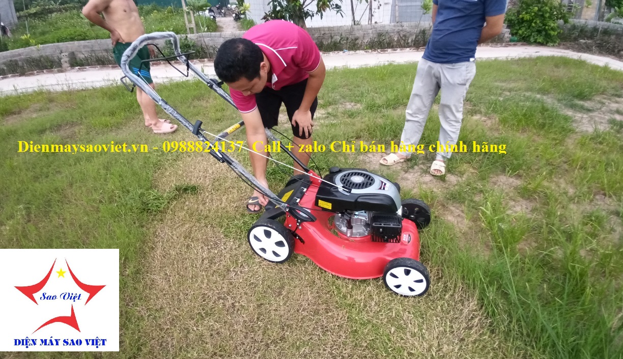 Máy cắt cỏ tự hành Honda 173cc 