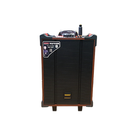 Loa kéo di động Temeisheng QX-1070 