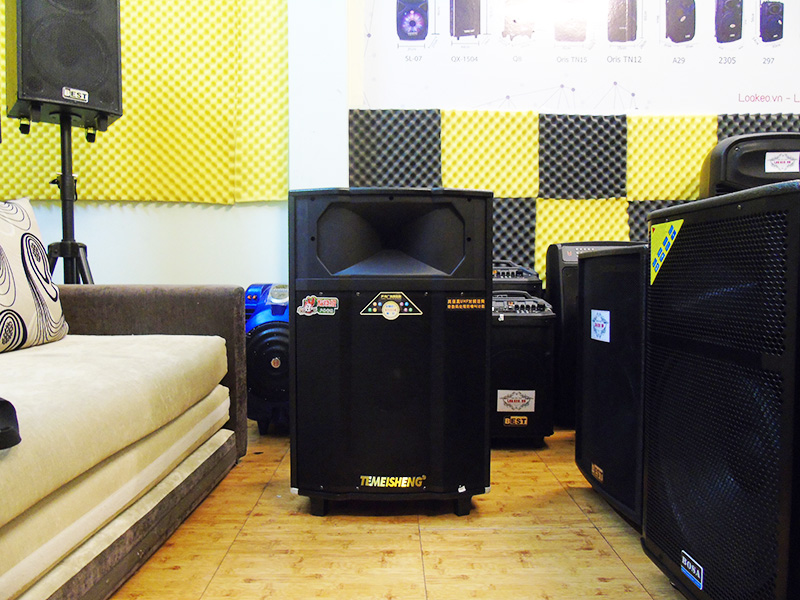 Loa kéo di động Temeisheng QX1509 