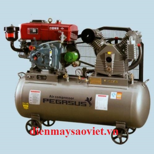 Máy nén khí chạy bằng dầu Diesel Pegasus TM-W-1.6/12.5-500L 