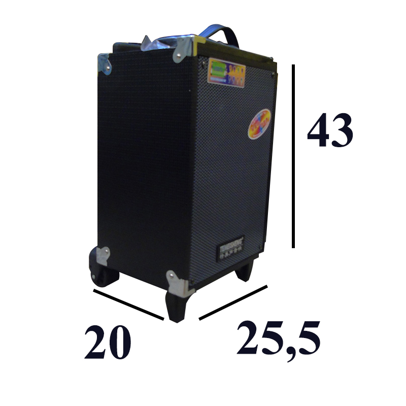 loa kéo di động Temeisheng A8-2 